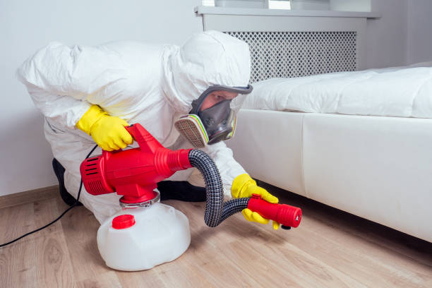 Emergency Pest Control Services in Lincoln, NE